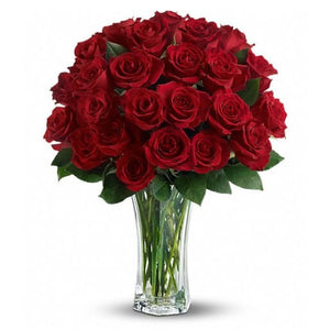 Love and Devotion : 2 Dozen Premium Red Roses : FREE Vase